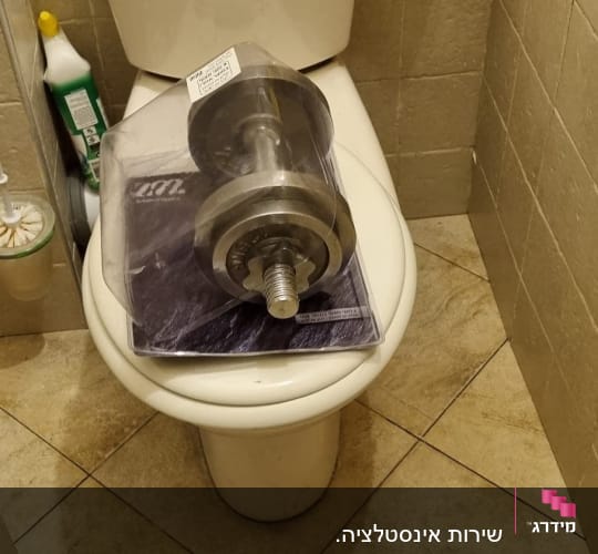 חלק חילוף מתכת על מושב אסלה בחדר אמבטיה